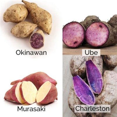 Are Japanese Sweet Potatoes Healthy? Exploring the Myths and Facts Behind Their Purple Hue