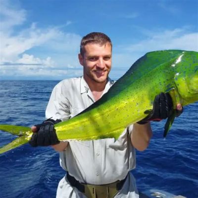 Does Mahi Mahi Have Protein? And Why Do Dolphins Love It So Much?