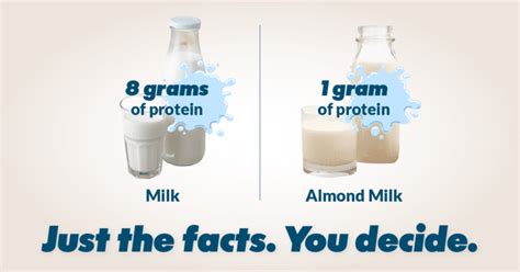 How Many Grams of Protein Does Milk Have? And Why Does It Taste Like Childhood Nostalgia?