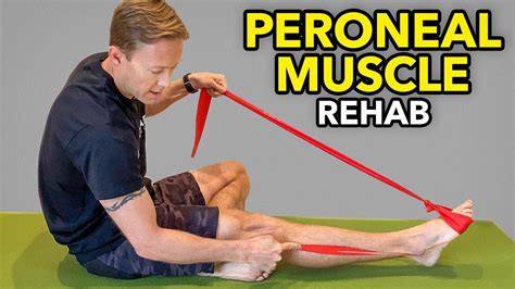 How to Stretch Peroneus Longus: Unraveling the Mysteries of Ankle Stability and Beyond