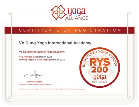 What Can You Do with a 200-Hour Yoga Certification? And Why Not Teach Penguins to Meditate While You're at It?